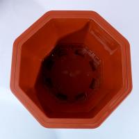 أحد عشر وعاءً كبيرًا على شكل ثمانية.