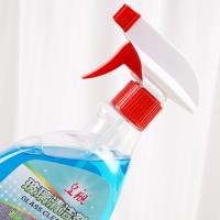 Le nettoyant pour verre Royal Ship de 400 g.