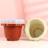 Le pot LC205 de couleur macaron (dimensions : 15,2 x 11 cm)