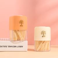 733-New light luxury colorful push-top toothpicks