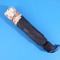 Spring and Umbrella 4204, l'ours mignon et attachant, rencontre le vinyle 55*8K.