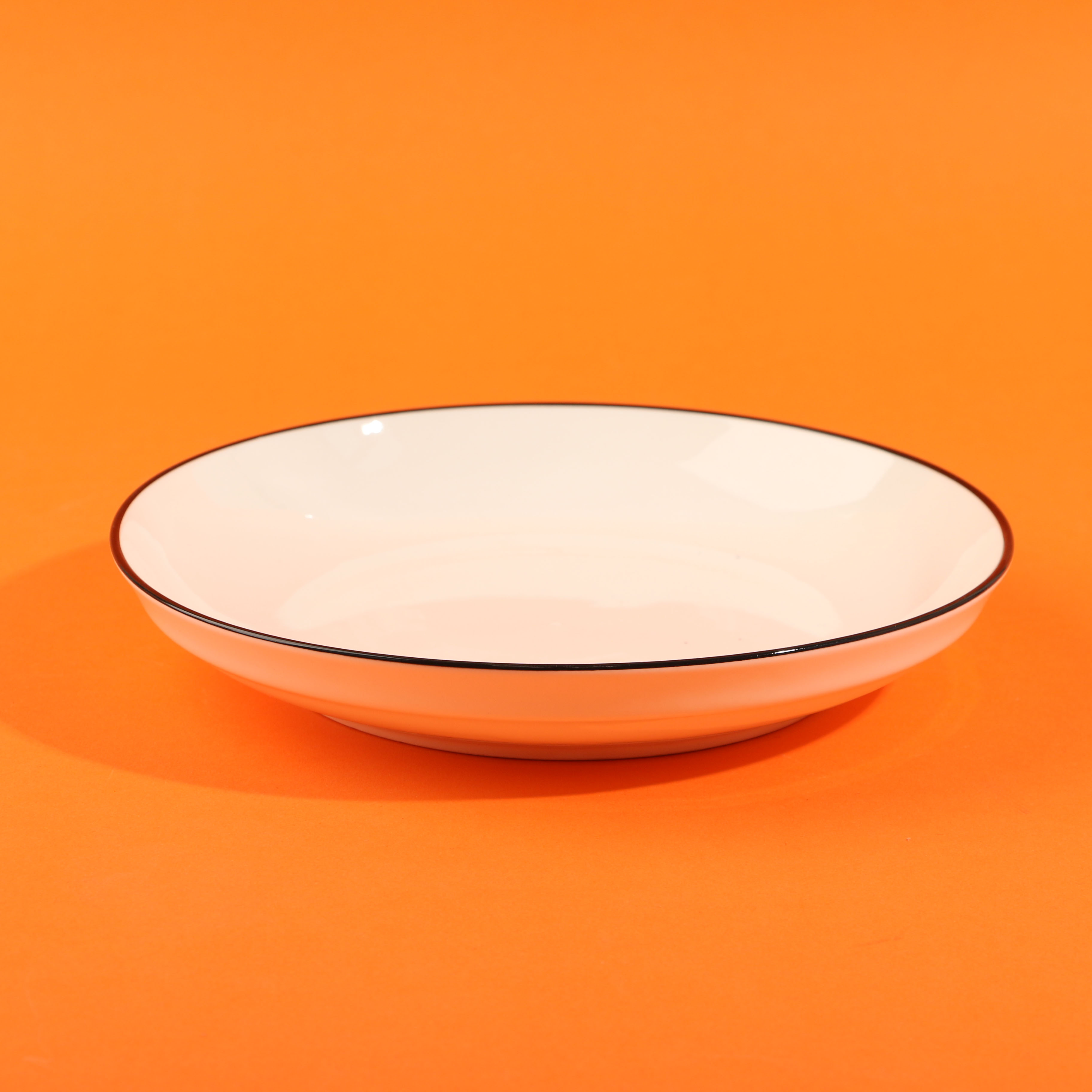 8 inch dinner plate (special offer)