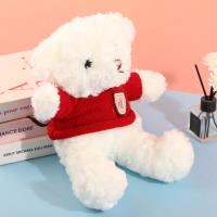 سويتر مضلع بألوان متعددة مع دب محشو بالفراء كلعبة للأطفال.