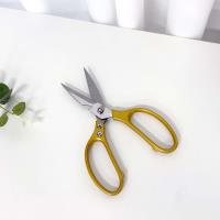 Professional-grade alloy scissors (golden color)
