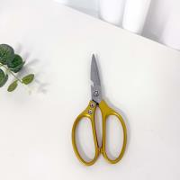 Professional-grade alloy scissors (golden color)