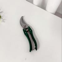 Professional-grade fruit branch shears (with spring)