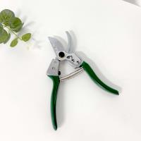 Professional-grade fruit branch pruners