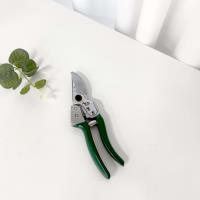 Professional-grade fruit branch pruners