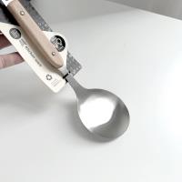 QF-RC2529-4 Sanding Clamp with Wooden Handle Spoon