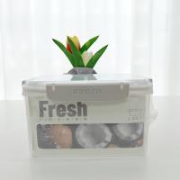 JH-0164 2.1L rectangular fresh-keeping box