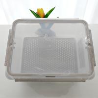 JH-2132 6L portable and convenient food storage box