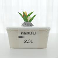 JH-2135 2.3L rectangular fresh-keeping box