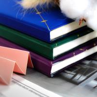 XX-6648  48k烫金日记本