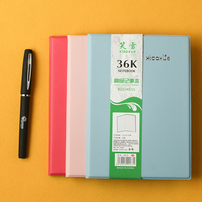 XX-9919  36K diary notebook