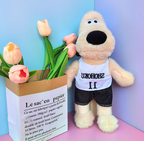 The leader of the No. 11 sports team, Dog