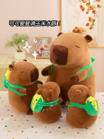 European mink, corn water rats—40-50cm