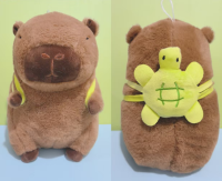 Turtle and capybara