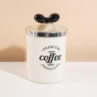 6899-8B Zhuzhu Handles White European-style Jar, Medium Size