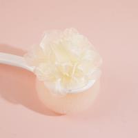 5611 brosses pour massage et bain